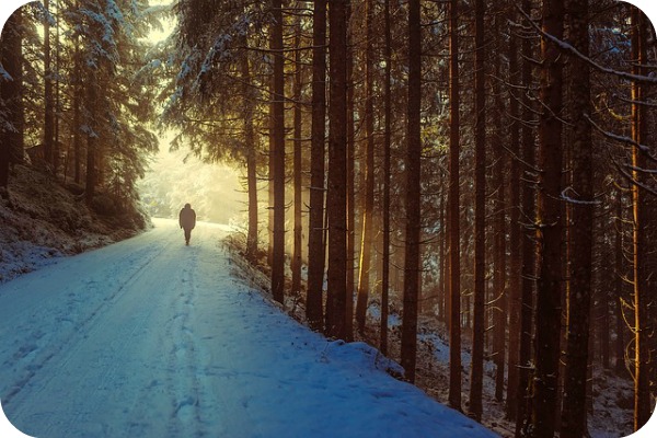 person walking through snowy woods