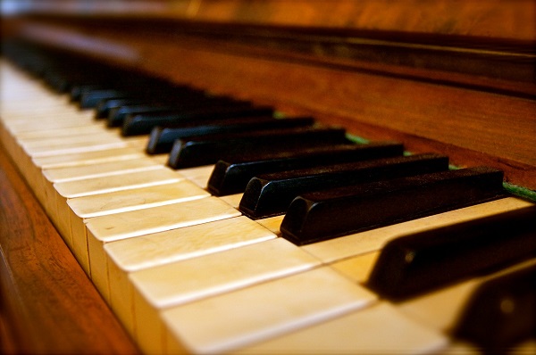 piano, musical instruments, meet the team