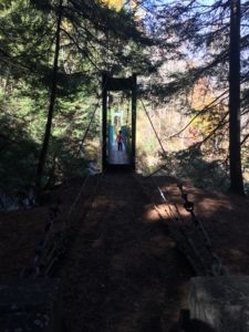 child on a bridge in the woods