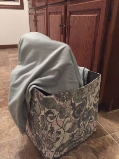 childhood magical thinking below blankets