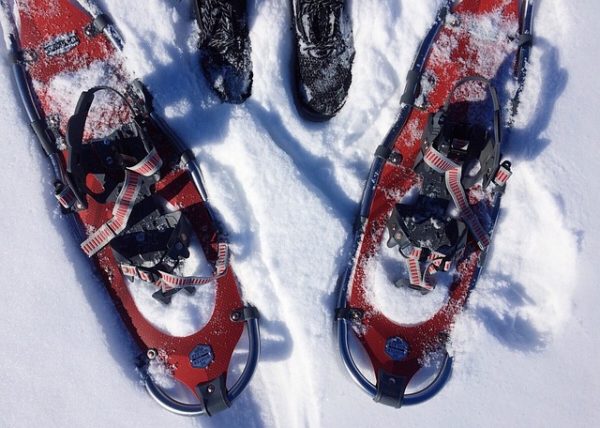 snowshoe, snowshoeing, winter, snow