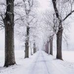 WinterDriving_WhiteRoad