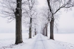 winter driving