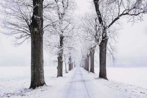 Winter Driving: Tips and Tricks for Navigating White Knuckle Conditions winter driving