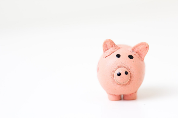 done having children, cost of children, piggy bank