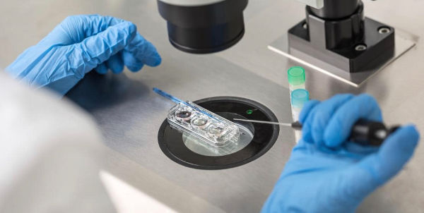 IVF Microscope