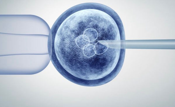 microscopic image of sperm being injected into an egg during IVF as an infertility treatment option