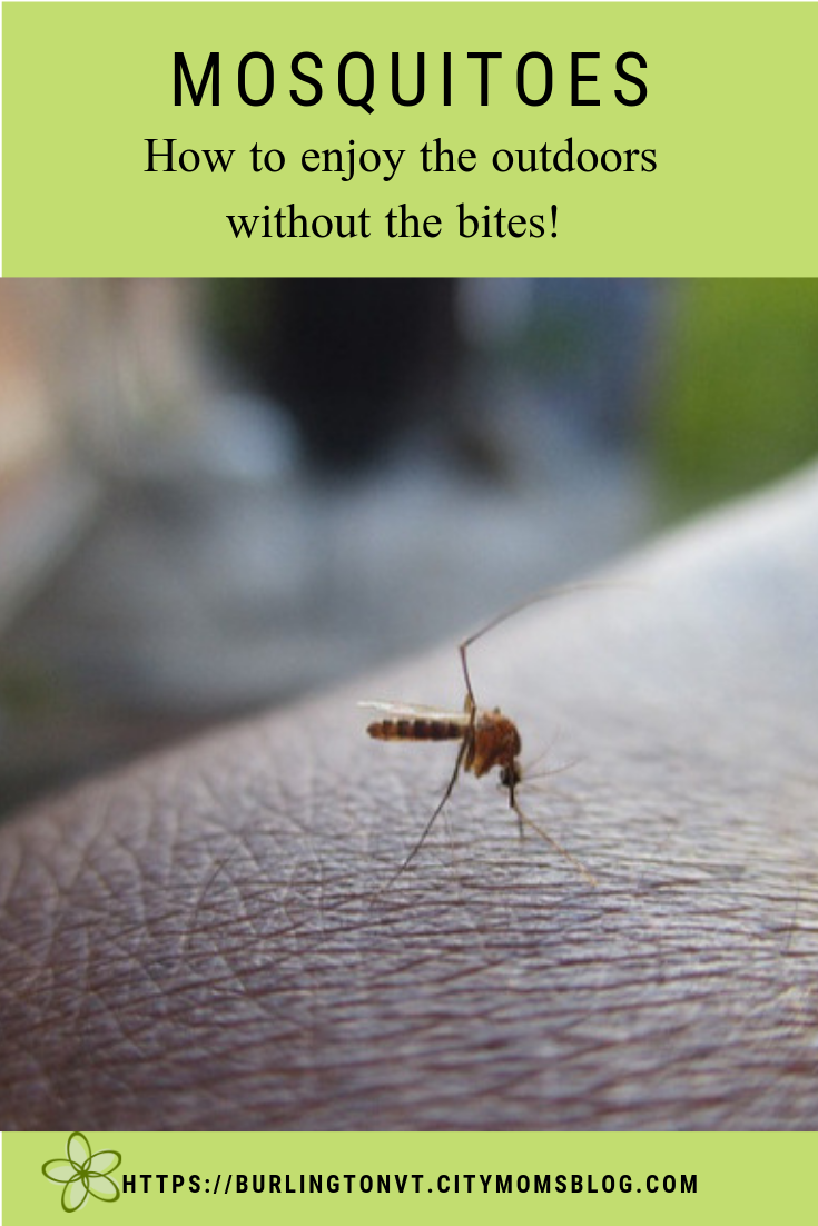 mosquito on arm