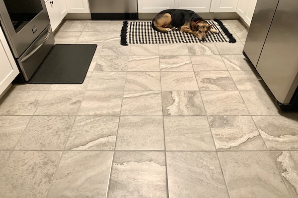 kitchen floor, dog