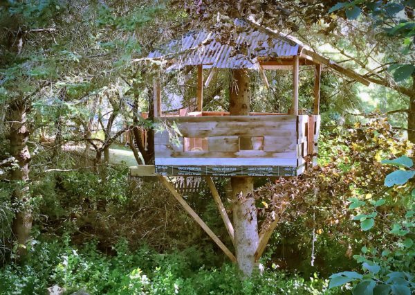 What I See From Here; Through the Eyes of a Solo Mom treehouse