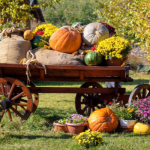 Fall harvest