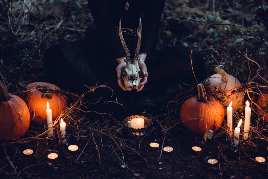 person holding scary animal skull with pumpkins and candles around them