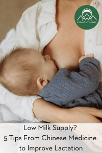 Low Milk Supply? 5 Tips From Chinese Medicine to Improve Lactation