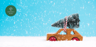 Top Spots to Get the Best Vermont Christmas Tree toy christmas tree on a toy car in the snow