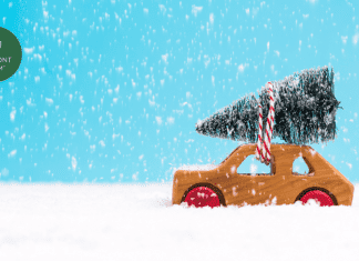 Top Spots to Get the Best Vermont Christmas Tree toy christmas tree on a toy car in the snow