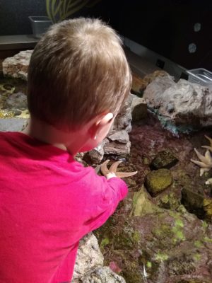 Exploring at the New England Aquarium