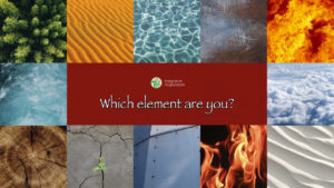 five element quiz