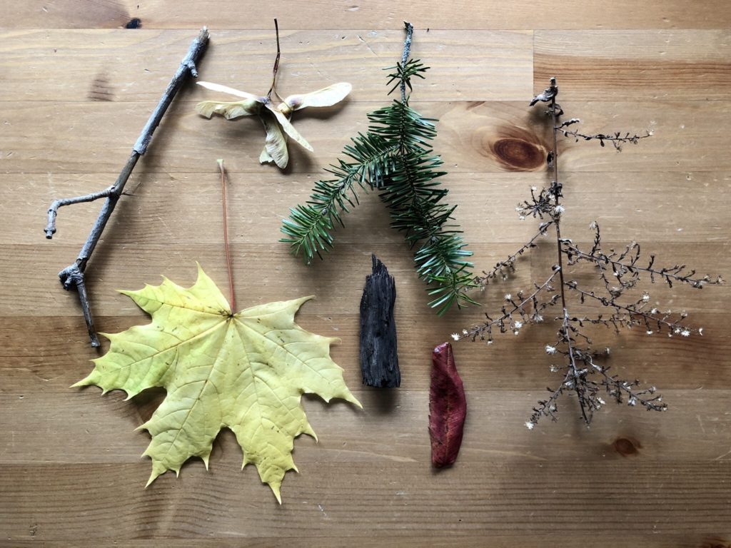Viewed from above are gathered natural objects for an easy fall art project: twigs, branches, leaves, etc.