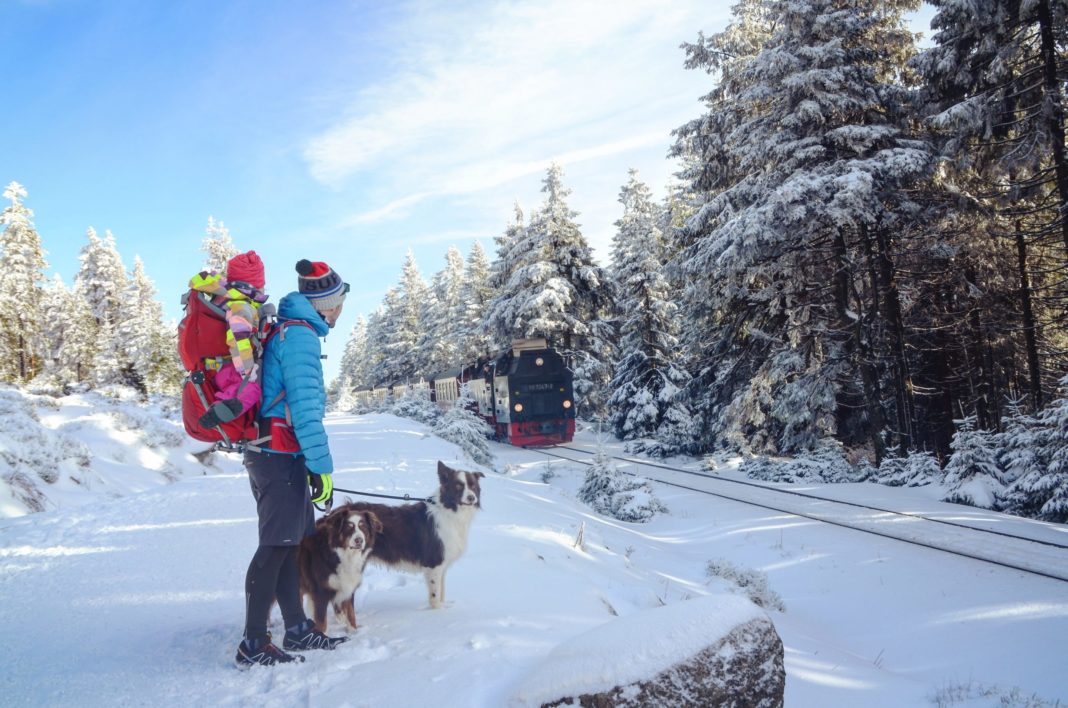 Winter Gear is Pricey – Here are 5 Tips to Nab what You Need for Less mom, baby and dogs in the snow in winter gear