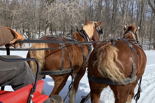 sleigh ride