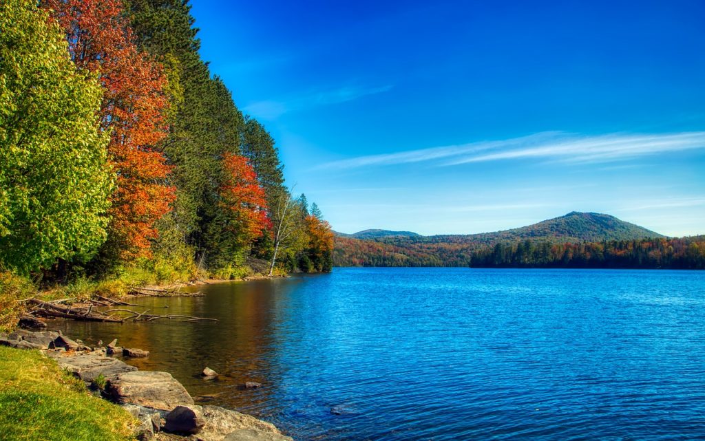 A pond and autumn leaves representing environmental options for Vermont charities