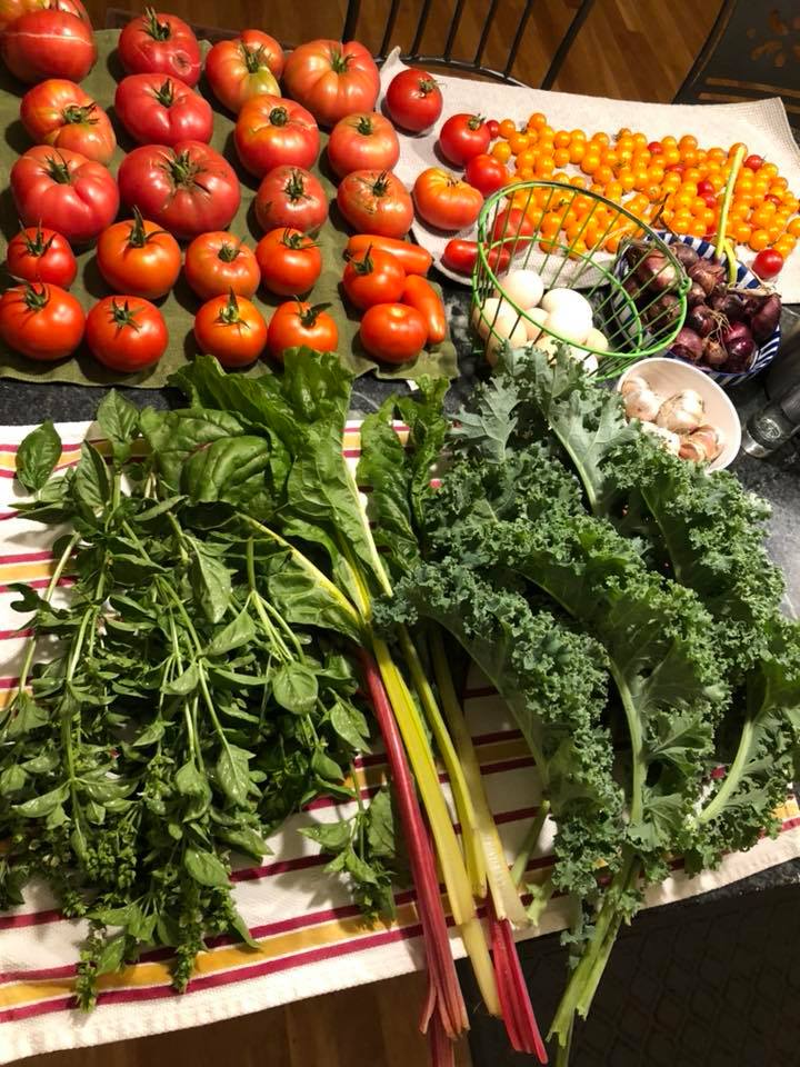 garden harvest