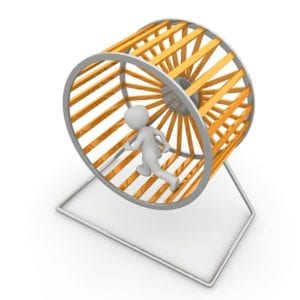 Hamster wheel signifying endless routine of busy schedules