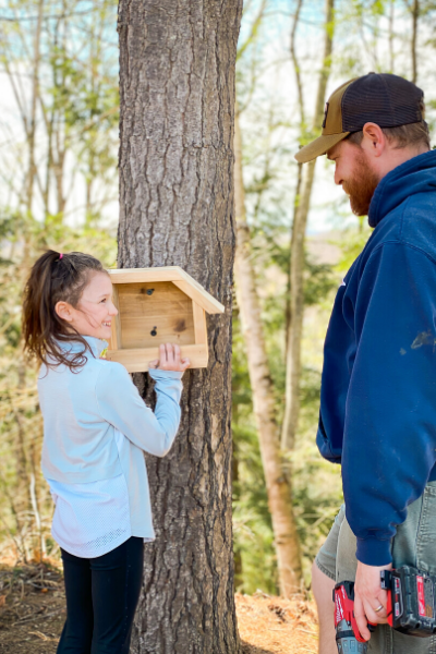 DIY nesting box
