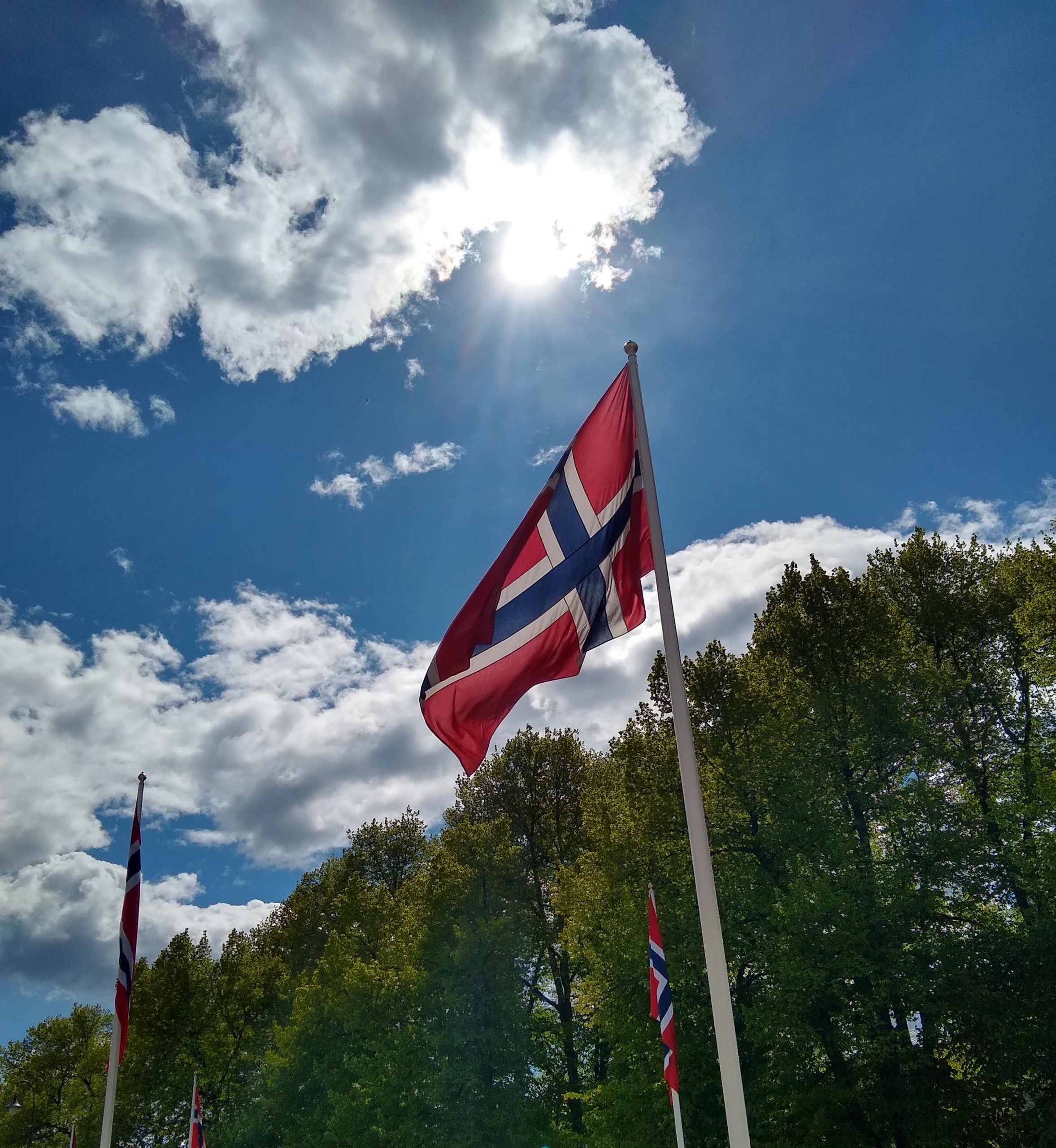 norway flag