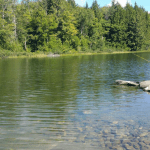 fishing with kids featured image