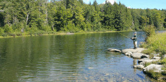 Fishing with Kids in Vermont fishing with kids featured image