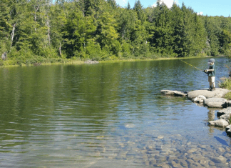 Fishing with Kids in Vermont fishing with kids featured image