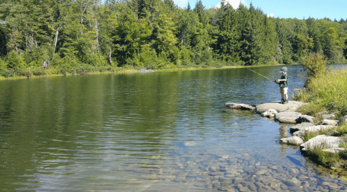 Fishing with Kids in Vermont fishing with kids featured image