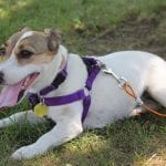 IMG_3755
