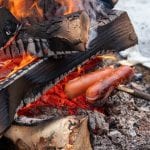 hot dog