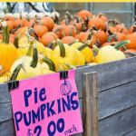 Outdoor Autumn Activities for the Whole Family to Enjoy pint