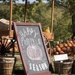 pumpkin-patch-2873348_640