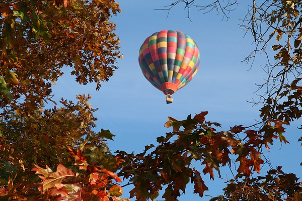 hot air balloon seeing autumn leaves