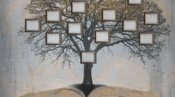 My Family Tree and the Concept of “The Family You Choose” My Family Tree and the Concept of "The Family You Choose"