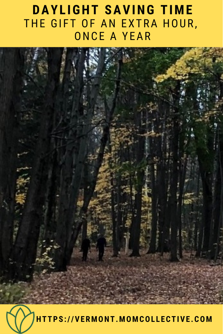 Forest path in a hardwood forest during Daylight Saving Time