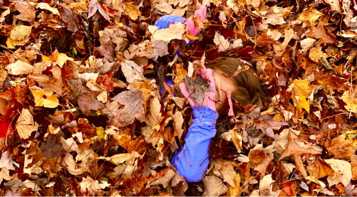 From Naptime Routine to Flexible Adventures toddler in a Vermont leaf pile