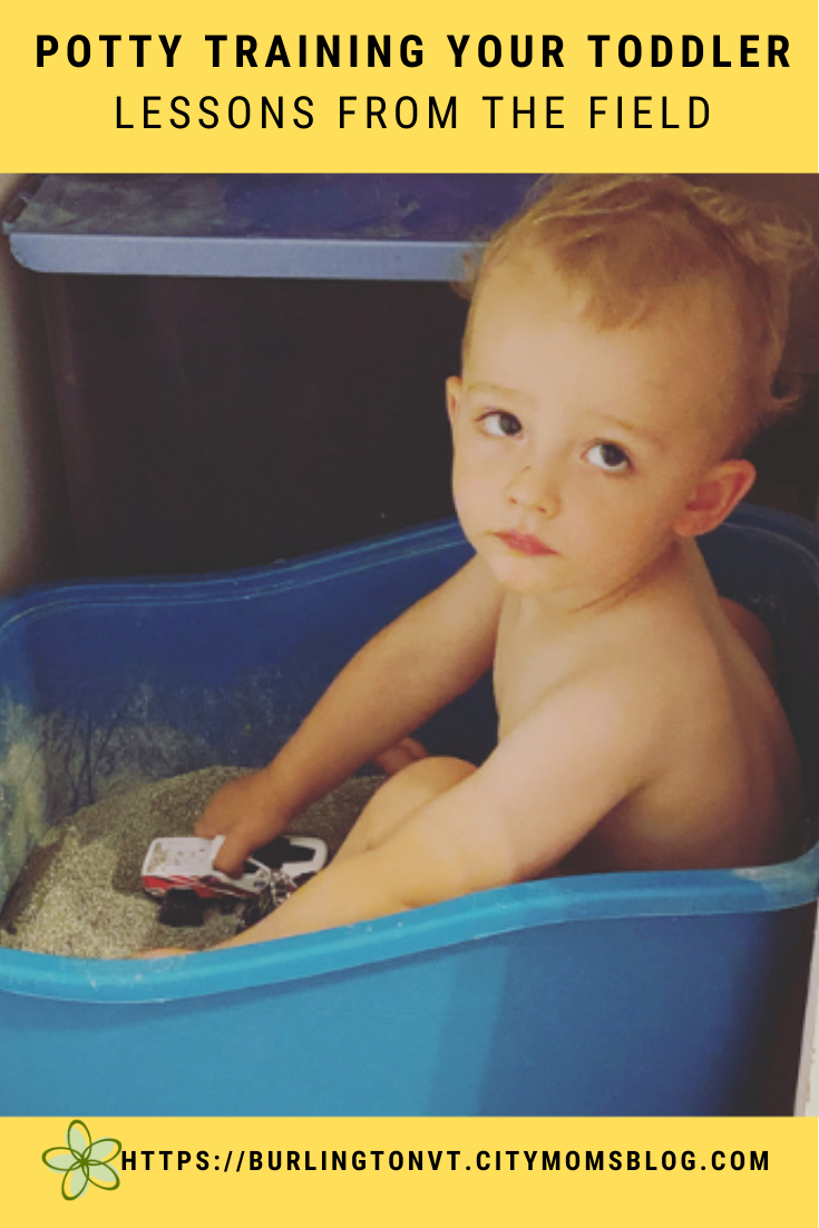Potty Training Your Toddler: Lessons from the Field