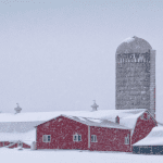 How to Survive A Vermont Winter: Tips for Newbies pint