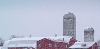 How to Survive A Vermont Winter: Tips for Newbies How to Survive A Vermont Winter: Tips for Newbies