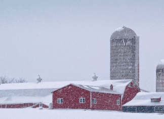 How to Survive A Vermont Winter: Tips for Newbies How to Survive A Vermont Winter: Tips for Newbies