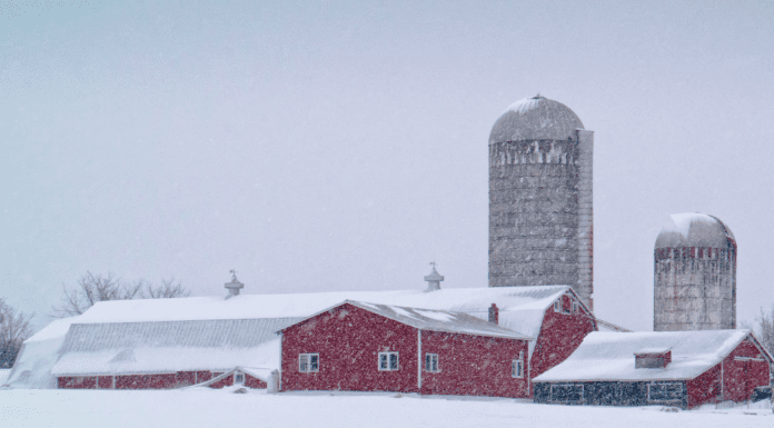 How to Survive A Vermont Winter: Tips for Newbies How to Survive A Vermont Winter: Tips for Newbies