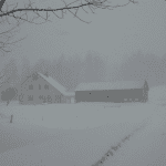 winter house