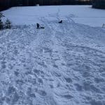 IMG_0843