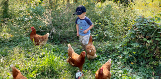 Table Manners: How We Raise Free-Range Kids Free Range Kid