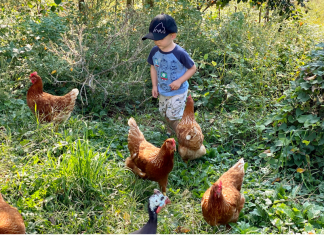 Table Manners: How We Raise Free-Range Kids Free Range Kid